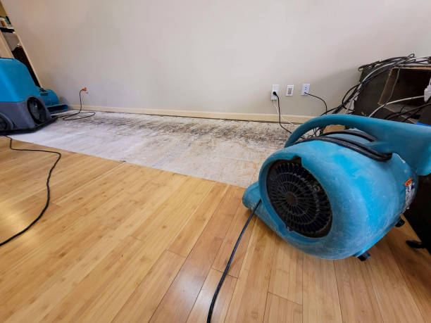 Professional Sewage Cleanup technician working in Portsmouth, OH